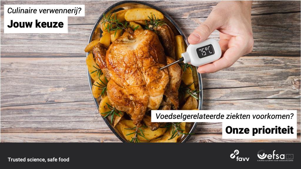 ad_EFSA-Safe-toEat-key-visuals-Belgium NL-1920x1080_poisoning.jpeg